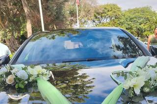 Aurélio & Jaime - 7