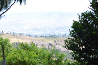 Quinta da Cerca - Viseu - 95