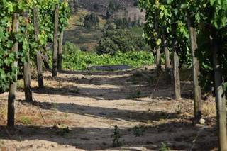 Quinta da Cerca - Viseu - 97