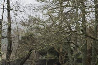 Maria Inês Silva - 5