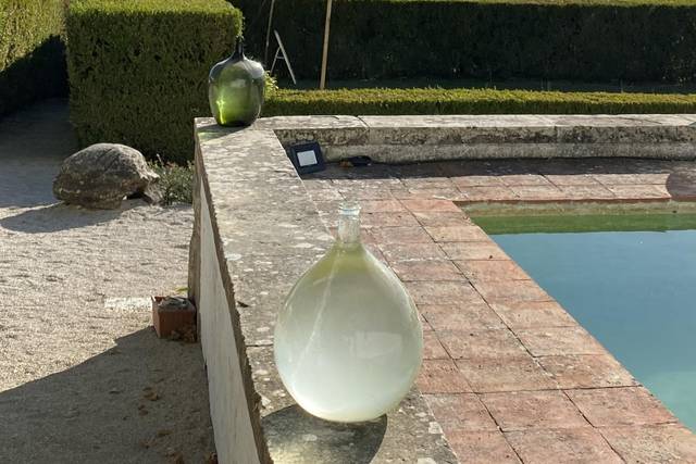 Quinta dos Plátanos 2