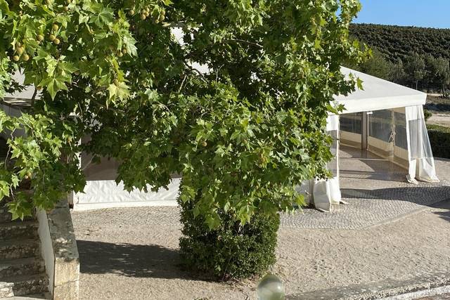 Quinta dos Plátanos 5