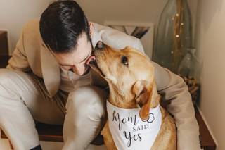 Simão Paula Photo - 10