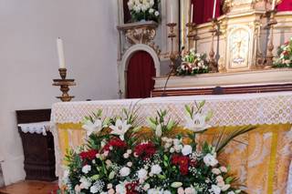 Horto do Campo Grande - 8