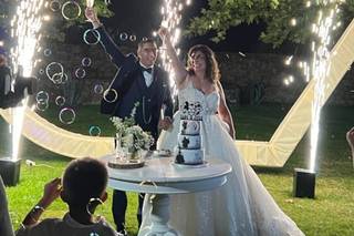 Cerca das Palmeiras - 16