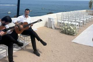 Wedding Guitar - 5