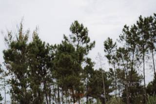 Quinta do Cutato - 5