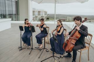 Quarteto Appassionato - 8