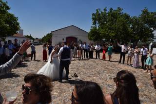 Animaior Eventos - 25