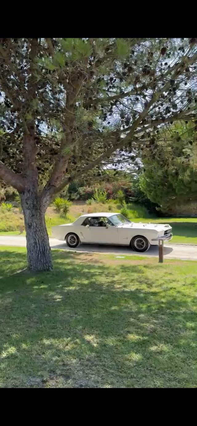 Feeling Classic - 2