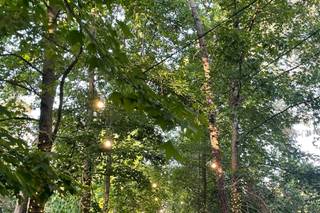 Bosque Eventos - 11