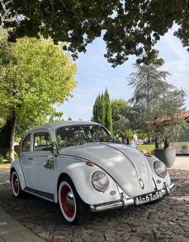 Wedding Classic Car - 2