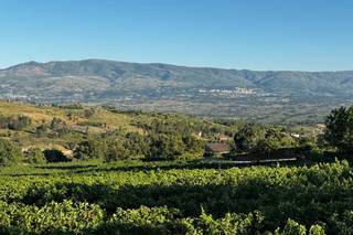 Quinta da Cerca - Viseu - 41