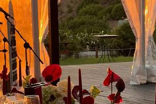 Halma Nature & Sea - 8