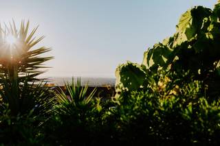 Quinta das Façalvas by Imppacto - 29