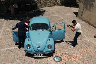 Botânica Vídeo - 5