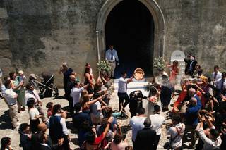 Botânica Vídeo - 6