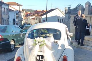 Senhor Carocha - 35