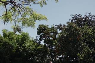 Quinta da Mota - 7