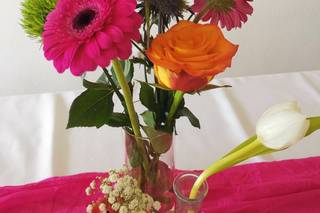Academia das Flores - 6