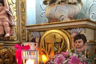 Natureza Dinâmica - 11