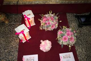 Natureza Dinâmica - 13