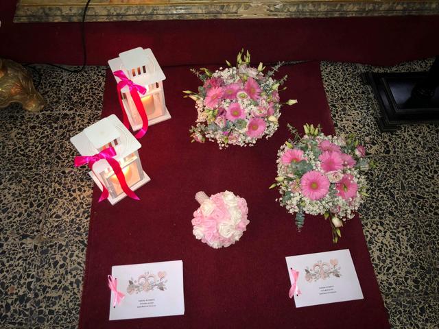 Natureza Dinâmica - 3