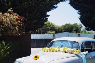 Olympia Bride Car - 6