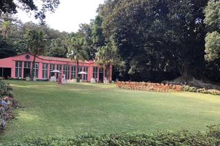 Estufa Fria do Jardim Botânico José do Canto - 5