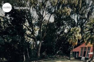 Estufa Fria do Jardim Botânico José do Canto - 7