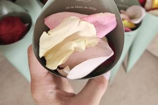 Bloem Design - 11