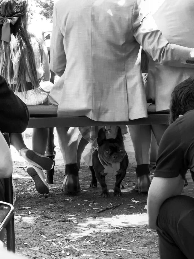 Quinta das Carpas - 2