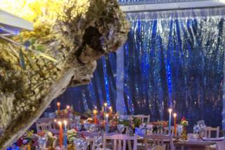 Festas conVida - 9