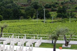 Solar Quinta da Portela - 19