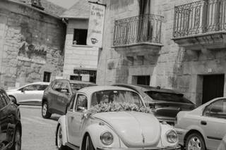 Love Bug - 5
