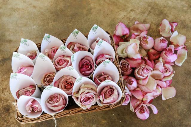 Sweeteventos Madeira - 3