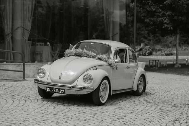 Love Bug - 1