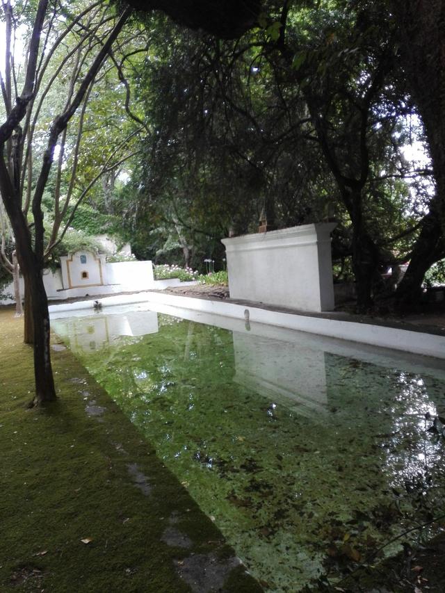 Quinta das Sentieiras - 2