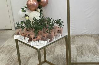 Magic Moments Eventos - 6