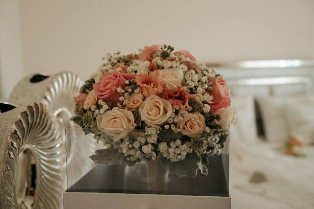Tulipa Eventos 2