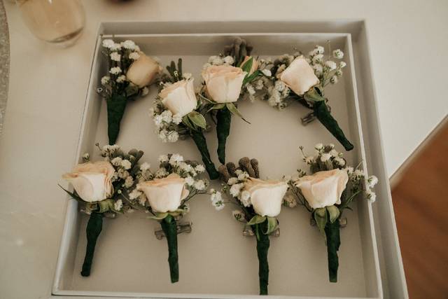 Tulipa Eventos 4