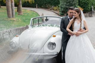 Dream Car 2CV & VW Beetle - 5