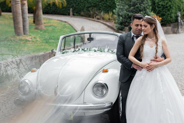 Dream Car 2CV & VW Beetle - 1