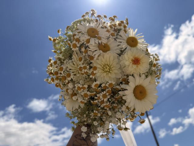 Flores & Amores - 4