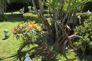 Quinta LR Gardens - 7