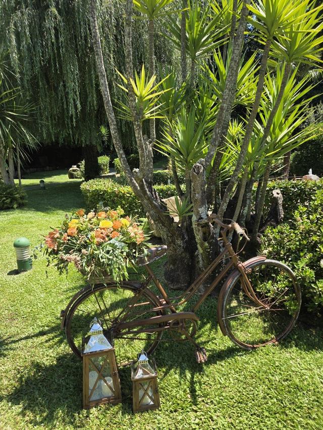 Quinta LR Gardens - 2