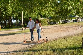 Tain Photo - 10