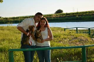 Tain Photo - 11
