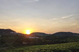 Quinta da Murnalha - 8
