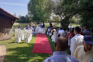 Quinta d'Oliveiras - 21